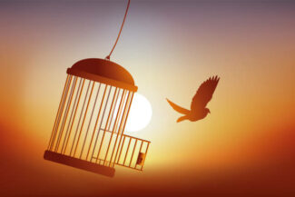 Concept of freedom, with a bird that escapes from its cage and flies away in front of a sunset.